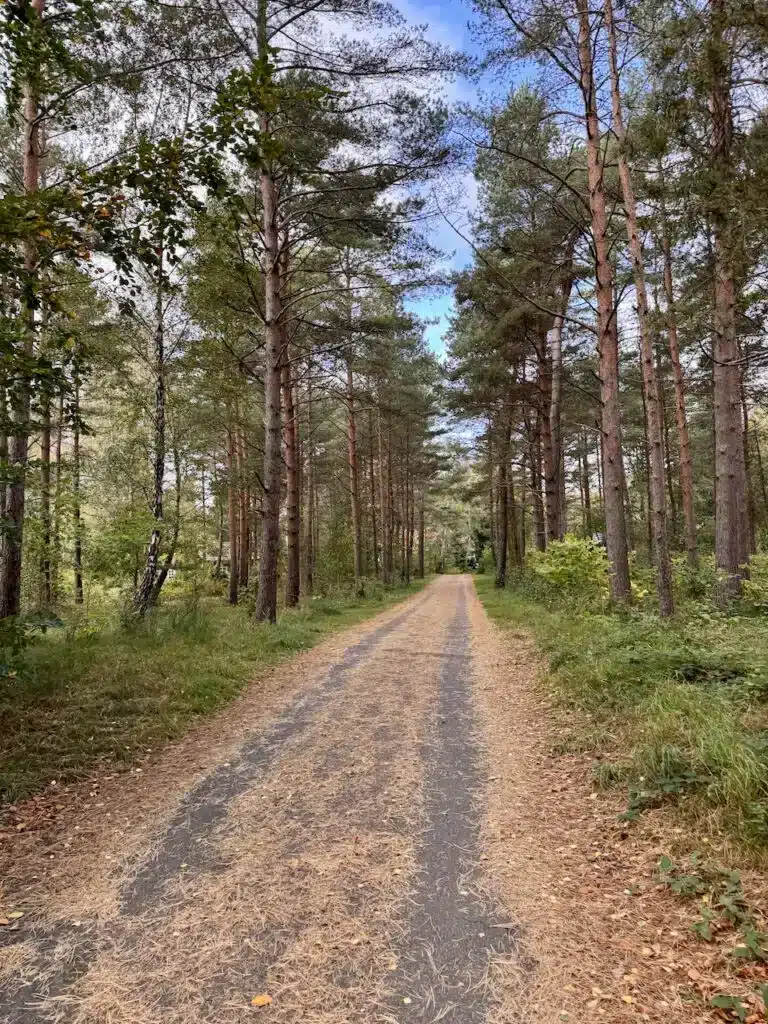 ystad skog
