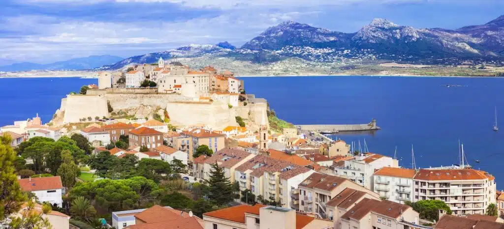 Calvi