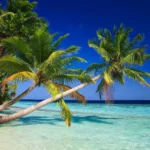 Var ska man bo på Maldiverna? De 6 Bästa Öarna + Bra Hotell 🏝️