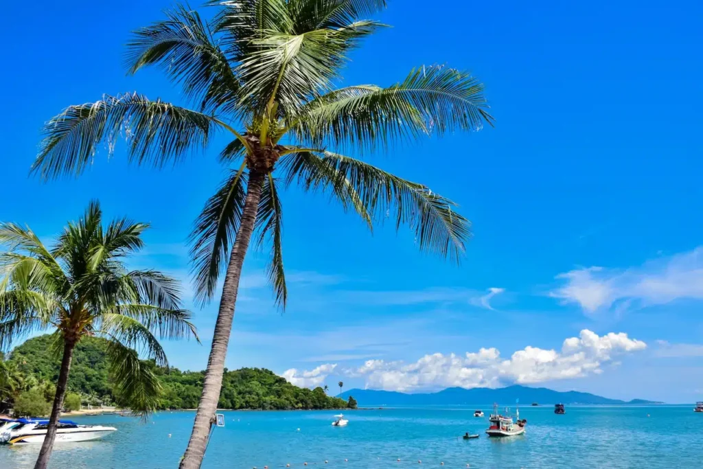 koh samui mae nam