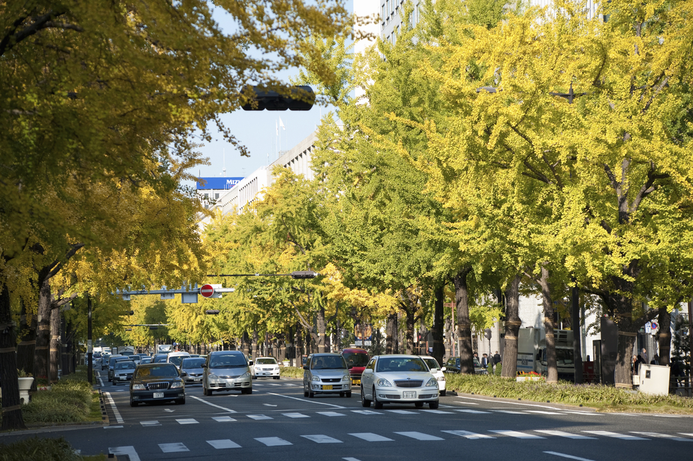 Boulevarden Midosuji i Osaka på hösten