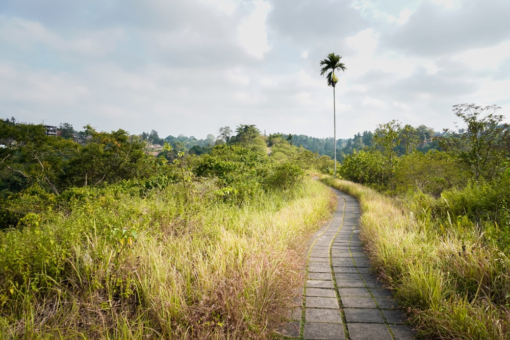 Campuhan Ridge Walk nära Ubud i morgonsol