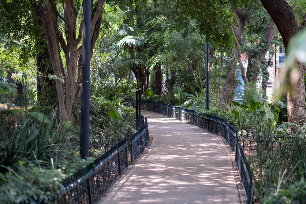 Den gröna mittremsan på Avenida Ámsterdam i Condesa i Mexico City