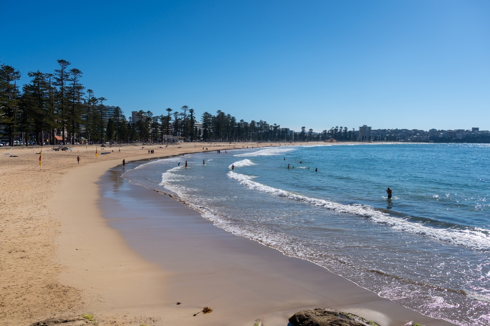 Manly Beach i Sydney med gyllene sand och blå vågor