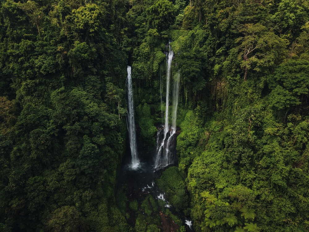 Sekumpuls vattenfall i djungeln på norra Bali