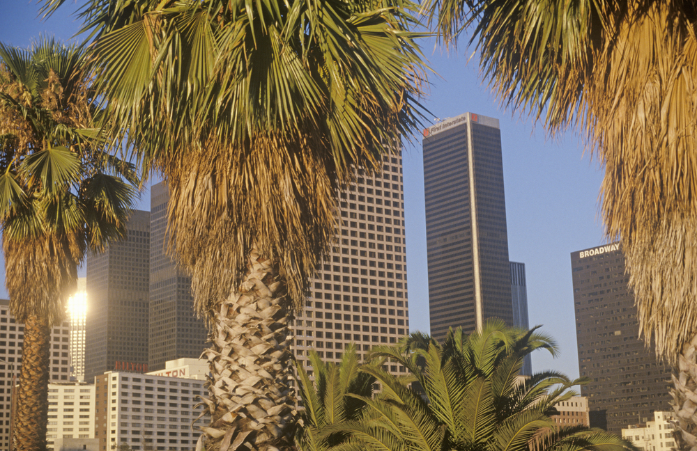 Downtown Los Angeles sett genom palmer