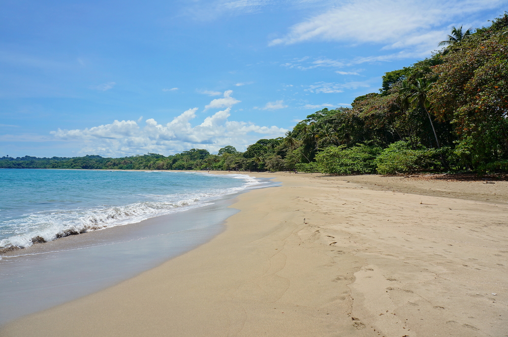 Stranden Playa Cocles vid Puerto Viejo på Costa Ricas karibiska kust