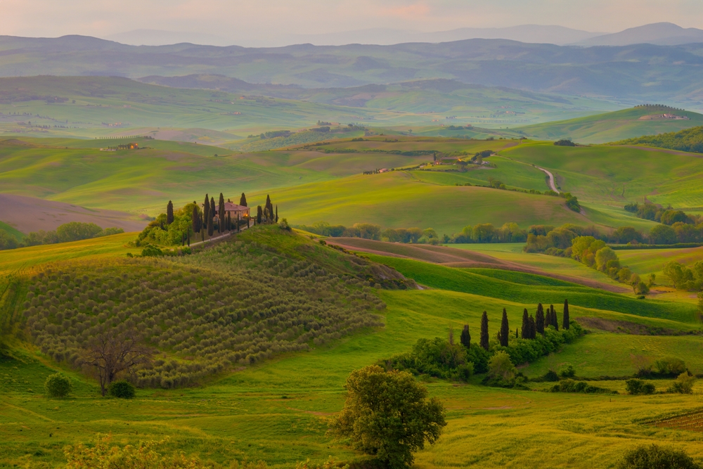Gröna böljande kullar i Toscana