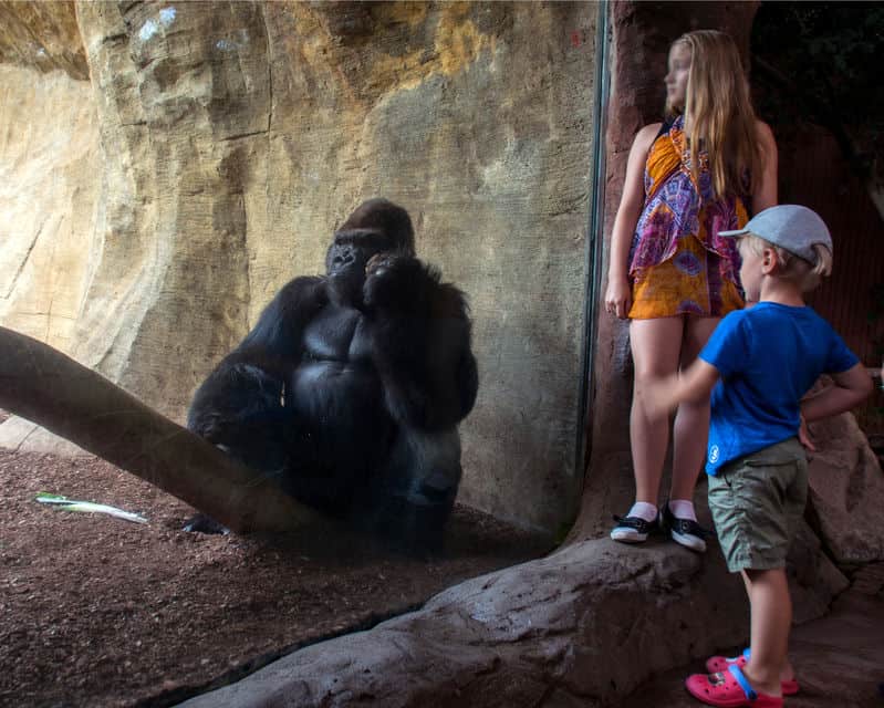 bioparc fuengirola
