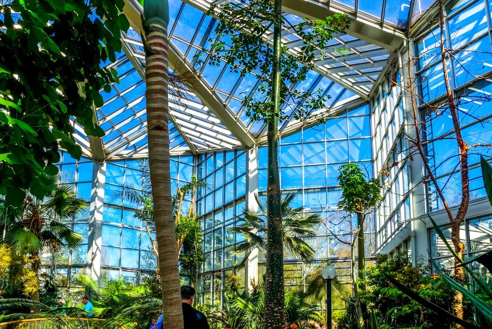 Den botaniska trädgården Palmengarten i Frankfurt