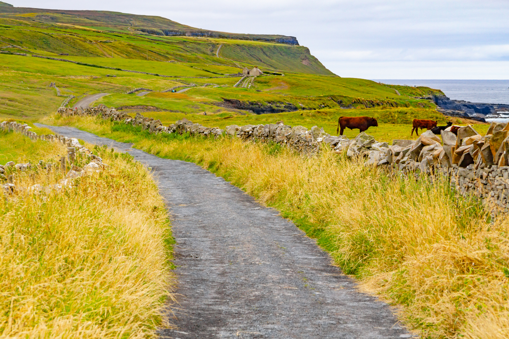 Byn Doolin med hus och åkrar i County Clare
