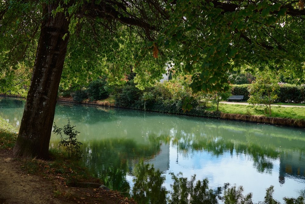 Canal du Midi med platanträd som speglar sig i vattnet i Toulouse