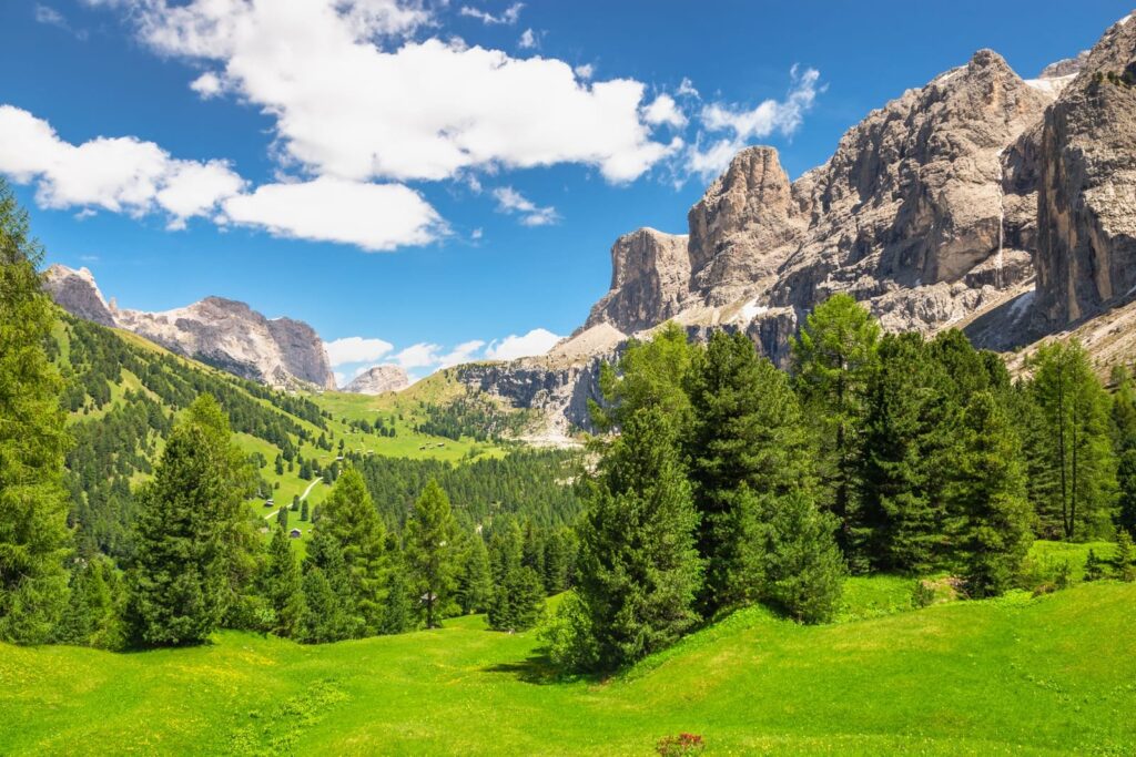 Gröna alpängar och taggiga kalkstenstoppar i Dolomiterna