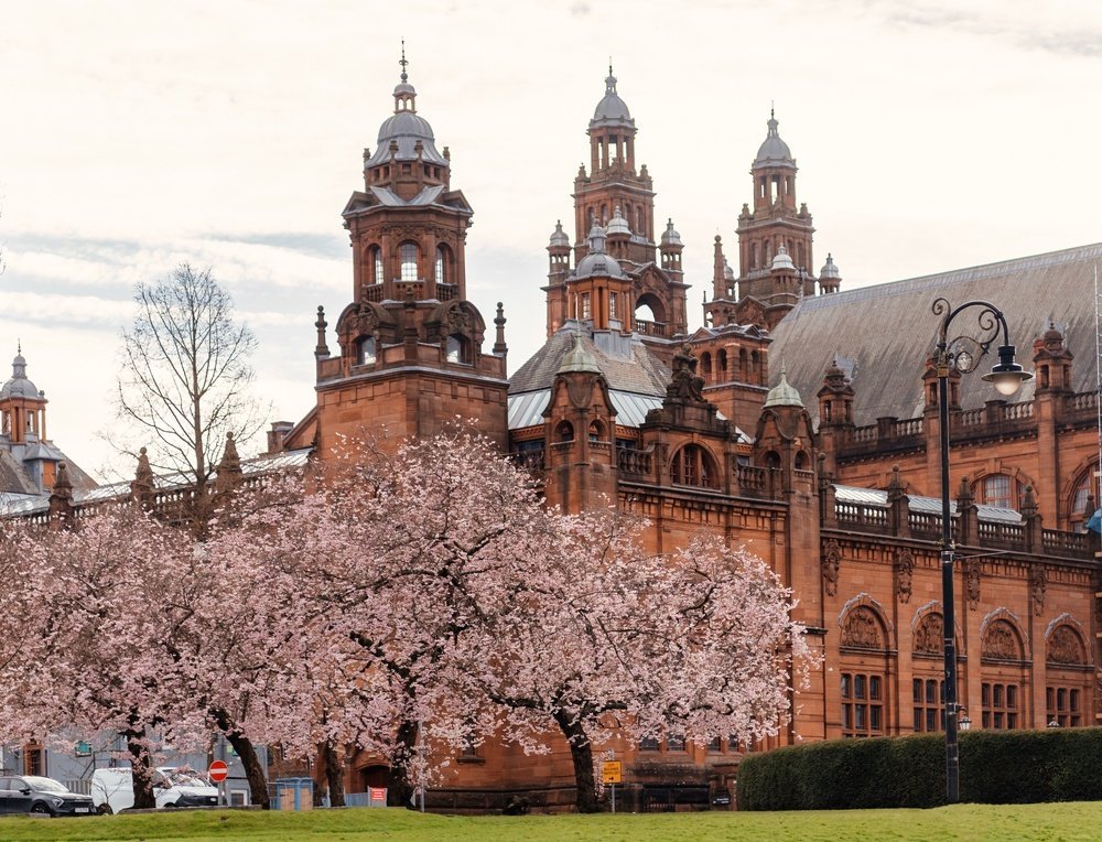 Kelvingrove Art Gallery and Museum i röd sandsten bland körsbärsträd i Glasgow