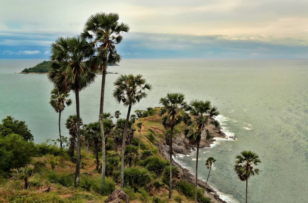 phuket reseguide