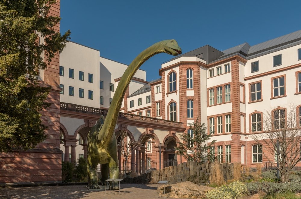 Senckenberg Naturmuseum på Senckenberganlage i Frankfurt