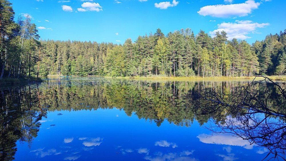 Sjö och skog i Noux nationalpark nära Helsingfors