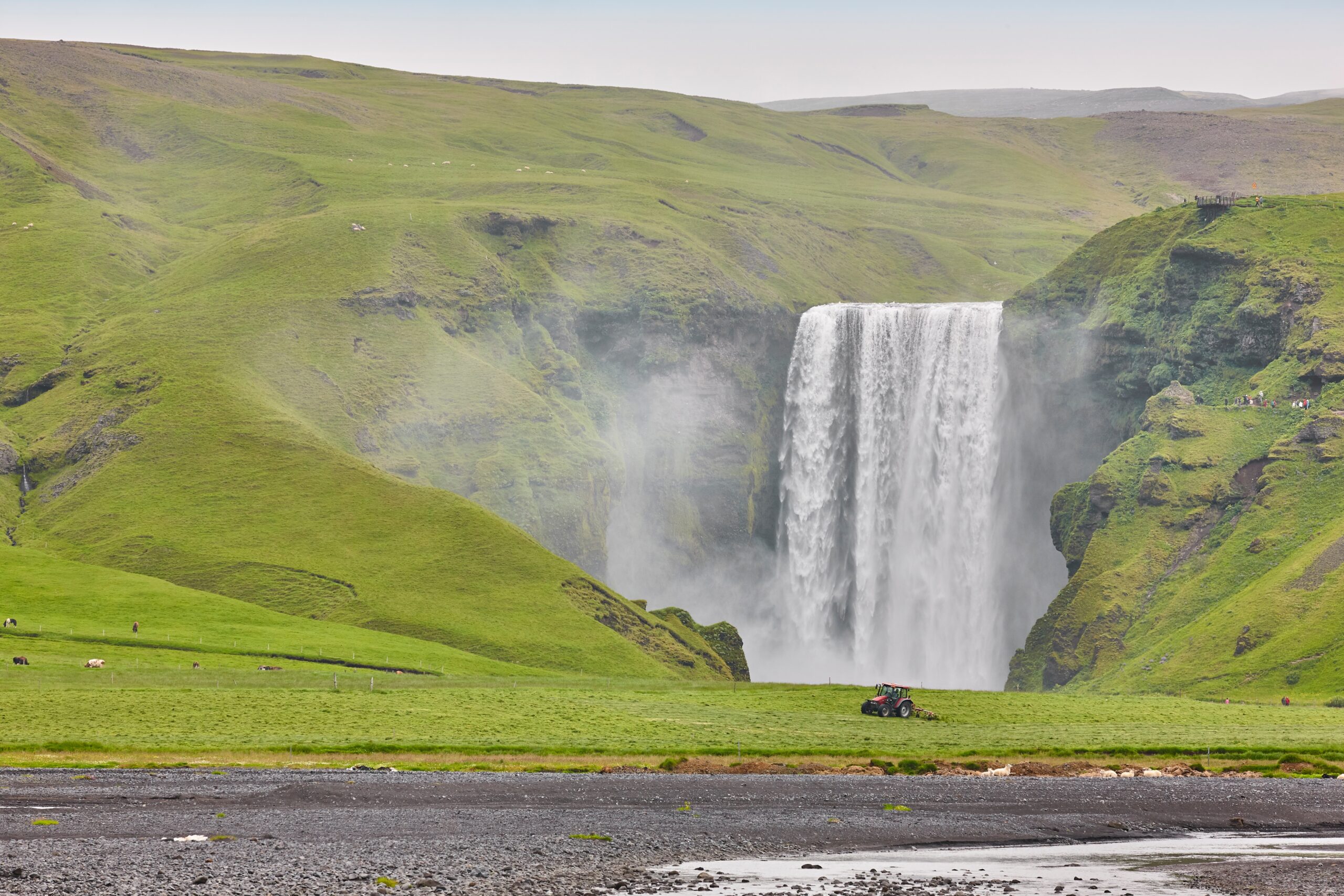 Skógafoss omgivet av grönt gräs