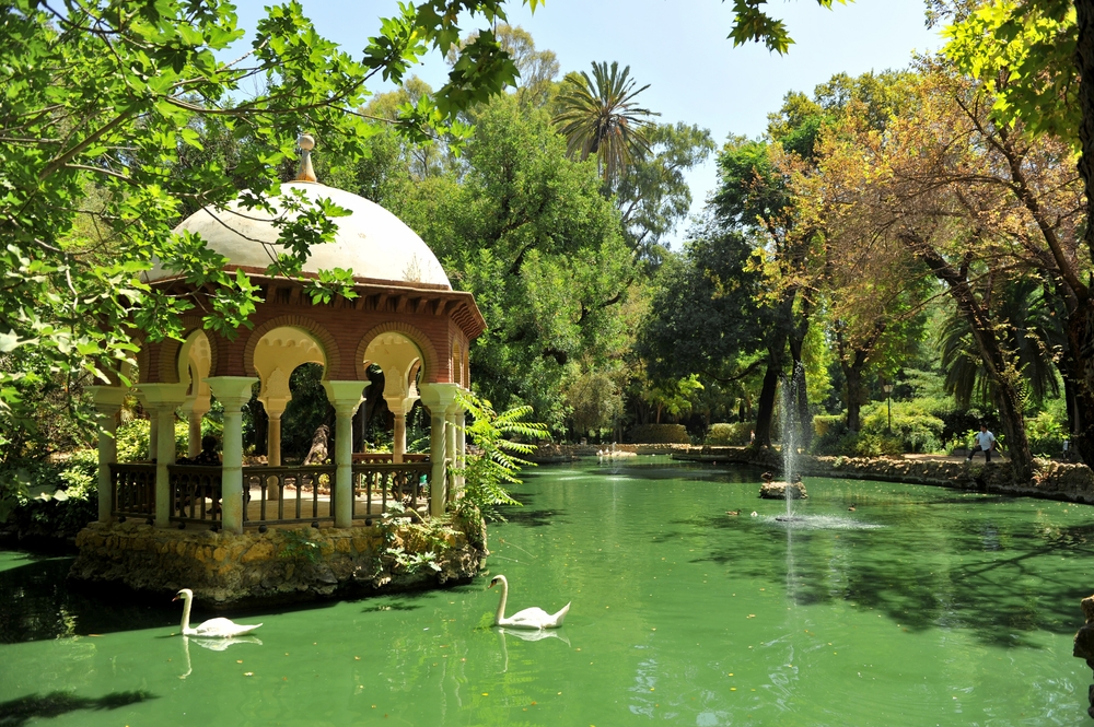 Svanar i ankdammen vid paviljongen i Parque de María Luisa i Sevilla