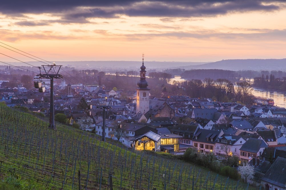 Vinbyn Rüdesheim am Rhein med vinodlingarna ovanför Rhen