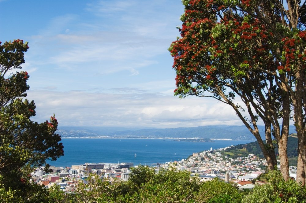 Wellingtons centrum och hamnen sedda över Oriental Bay